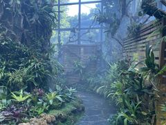 -东莞植物园