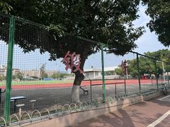 -广西大学(大学东路校区)