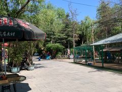 -大鹅岛绿色生态美食园