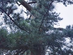 -颐和园