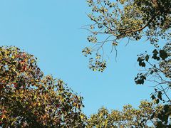 -兰溪青年公园