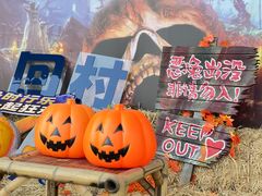 -青岛方特梦幻王国