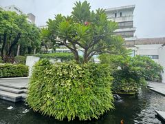 -广州白天鹅宾馆