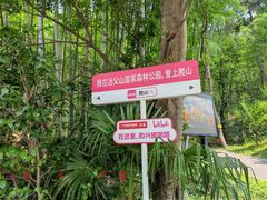 -冶父山国家森林公园