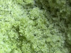 -冰冰酱老味刨冰绵绵冰(中山路总店)