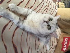 iphone_upload_pic-爱侣宠医·鹦鹉专科·小型哺乳类·异宠专科(灵石路店)