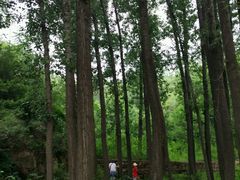 -蟠龙山长城景区