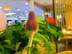 -守柴炉烤鸭(科华中路王府井店)