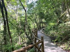 -燕子河大峡谷天坑仙境