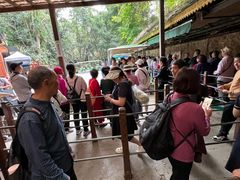 -西双版纳原始森林公园