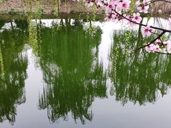 -九里河湿地公园