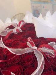 -演员的秘密·皮肤管理