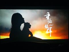 -星河寰宇IMAX影城(星河WORLD·COCO Park店)