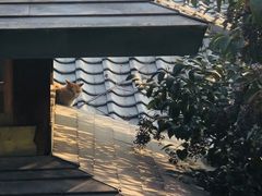 -华山御温泉度假村