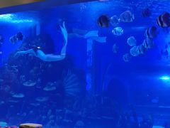 -顺德南宏海立方海洋公园
