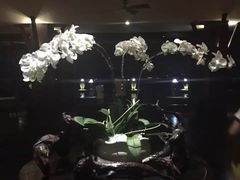-芽庄珍珠岛游乐园