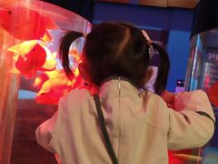 -多彩贵州城极地海洋世界