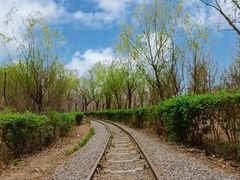 -西青郊野公园