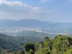 -三亚亚龙湾人间天堂鸟巢度假村