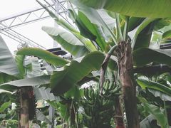 -兴芮温泉度假区