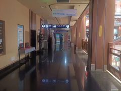 -华谊兄弟影院(IMAX洋桥店)