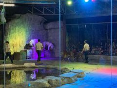 -清迈夜间动物园