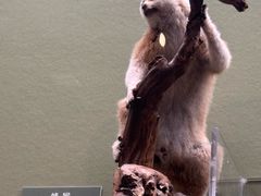 -国家自然博物馆