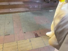 -皖北巫氏三胖地锅鸡(长淮总店)