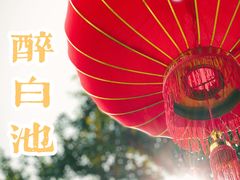 -上海醉白池公园