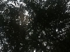 -南宁南湖公园