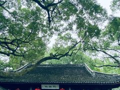 -上海醉白池公园