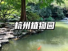 -杭州植物园