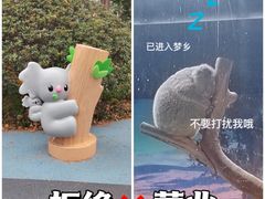 -红山森林动物园