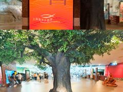 -上海海洋水族馆