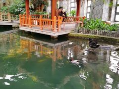 -南宫五洲植物乐园