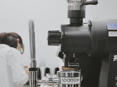 大堂-麻雀咖啡SPARROW COFFEE(十全街店)