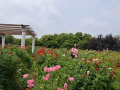 -上海杨姆庄园