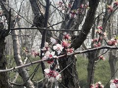 -天津东丽湖风景区
