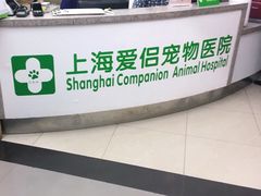 -爱侣宠医·鹦鹉专科·小型哺乳类·异宠专科(灵石路店)