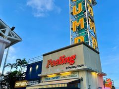 -巨鹏飞梦幻海岸