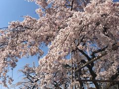 -醍醐寺