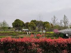 -柳鹭田园区
