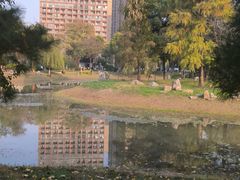 -堤角公园