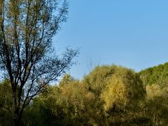 -长白岛森林公园