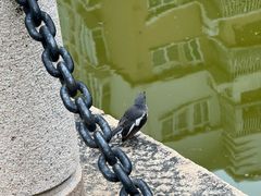 -金砂公园