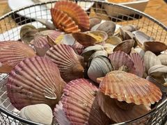 -海味当家·蒸锅海鲜(星海公园店)