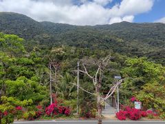 -海南热带雨林国家公园吊罗山景区