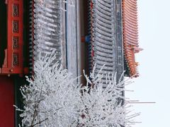 -雍和宫