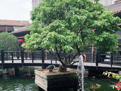 -猪肉婆私房菜(容桂总店)