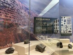 -辽宁古生物博物馆